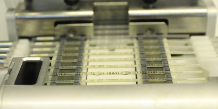 Importância da qualidade do sêmen nos resultados de IATF