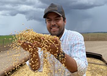 A produtividade é o maior seguro do produtor