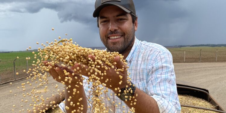 A produtividade é o maior seguro do produtor