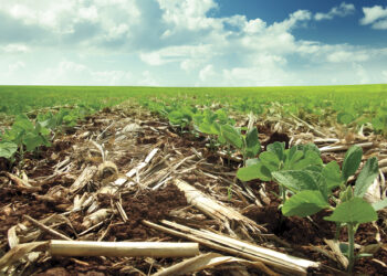 A revolução e o futuro da agricultura