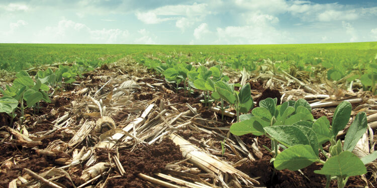 A revolução e o futuro da agricultura