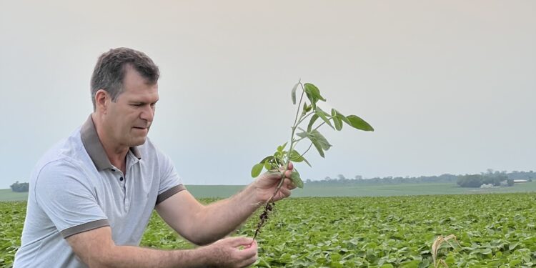 Economia, produtividade e sustentabilidade de mãos dadas