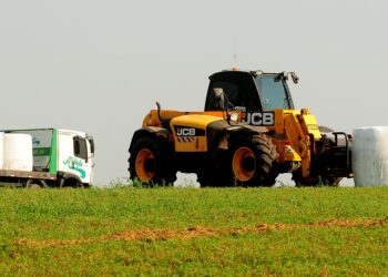 Planejamento forrageiro: uso de forragens conservadas como estratégia alimentar