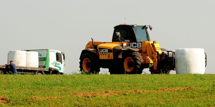 Planejamento forrageiro: uso de forragens conservadas como estratégia alimentar