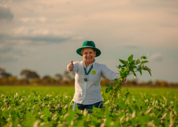 Progresso Sementes alia desenvolvimento, produtividade e sustentabilidade