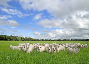 Um ano para deixarmos para trás