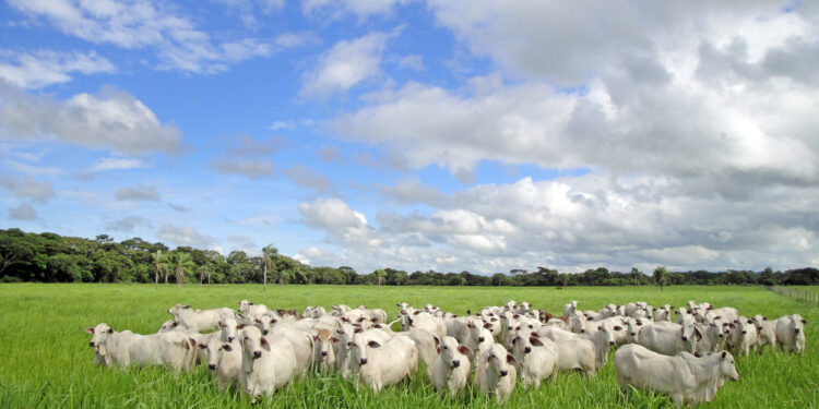 Um ano para deixarmos para trás