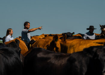 Atenção para a virada!