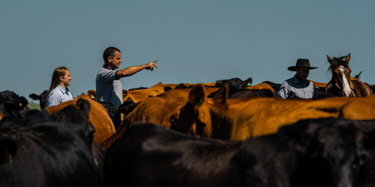 Atenção para a virada!