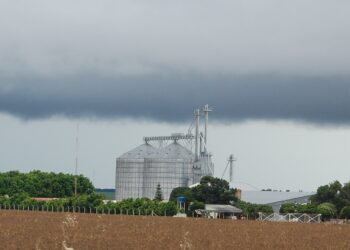 A vez do CNPJ: é a holding familiar na gestão e sucessão