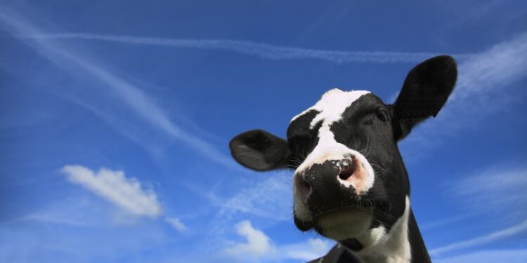 Importações sobem acima de 70%