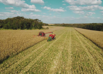 A busca pelo máximo potencial produtivo na segunda safra