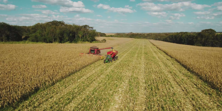 A busca pelo máximo potencial produtivo na segunda safra
