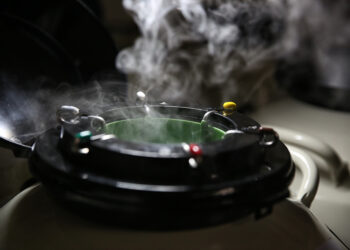 O desafio do mercado em 2023