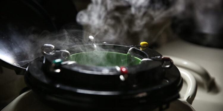 O desafio do mercado em 2023