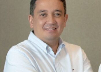 Girassol Agrícola: sementes com seguro contra fatores ambientais