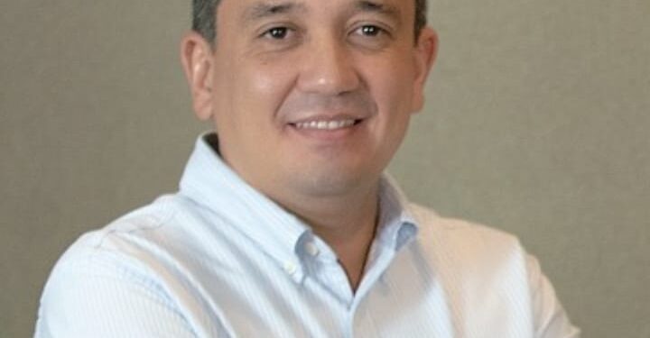 Girassol Agrícola: sementes com seguro contra fatores ambientais