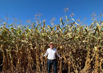 Com os números em mãos para lidar com as incertezas