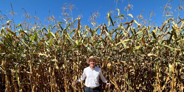Com os números em mãos para lidar com as incertezas