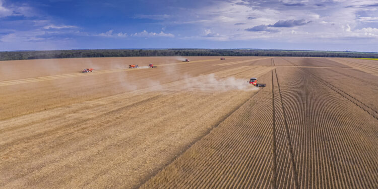 Terceirização da colheita? Faça os cálculos