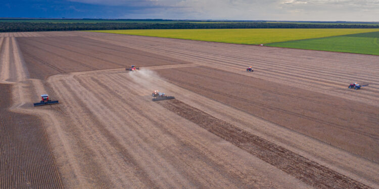 A safra bem guardada é a mais rentável
