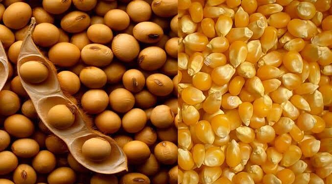 Por onde rodam os recordes do agro brasileiro