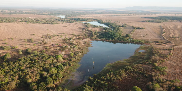Uma grande aliada do produtor e do ecossistema