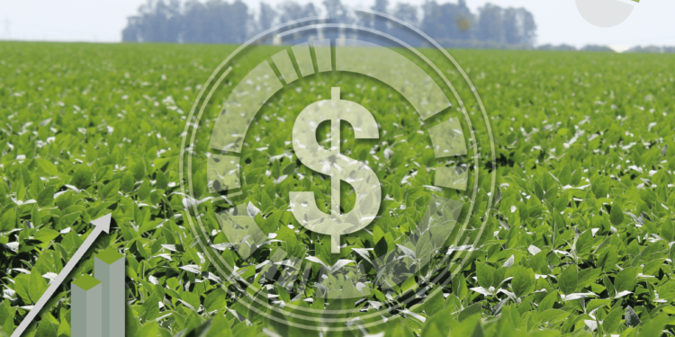 Sustentabilidade econômica do negócio agrícola