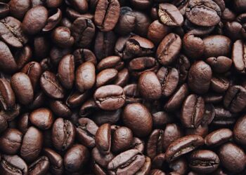 Café: Safras aponta comercialização 2023/24 em 79% e 2024/25 em 10%