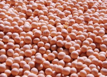 Argentina: A seca não poupou exportações agroindustriais, que caíram 35,8%