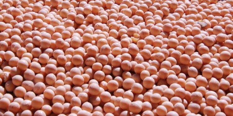 Argentina: A seca não poupou exportações agroindustriais, que caíram 35,8%