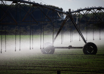 A tecnologia certeira para reduzir perdas e aumentar a produtividade