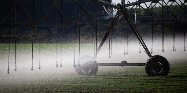 A tecnologia certeira para reduzir perdas e aumentar a produtividade