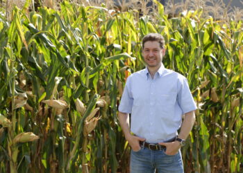 Syngenta Seeds ainda mais focada no produtor