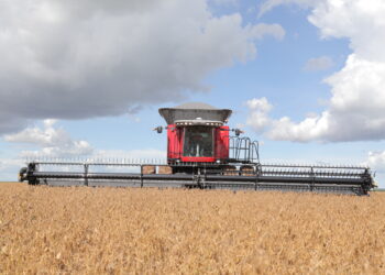 As providenciais estratégias de comercialização da safra