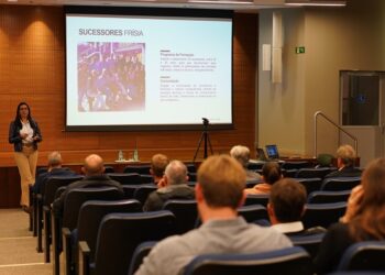 O segundo século já em construção 