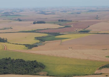 Arrendamento e parceria rural, diferenças e vantagens