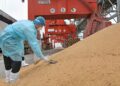 Estoques recordes de soja na China pressionam mercado global e limitam exportações dos EUA