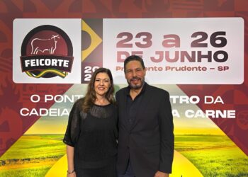Feicorte 2026 apresenta tema oficial e anuncia edição mais tecnológica da história