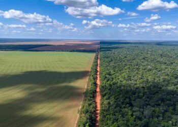 Três Visões de Uso da Terra e Preservação: Brasil, EUA e Europa em Perspectiva