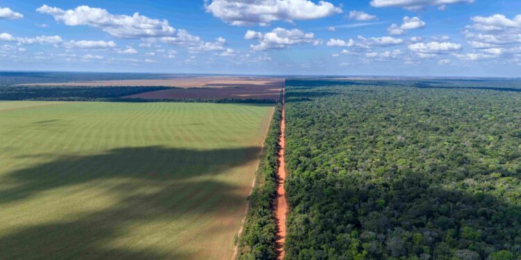 Três Visões de Uso da Terra e Preservação: Brasil, EUA e Europa em Perspectiva
