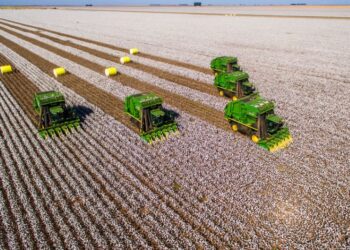Falência do Grupo Pupin marca um dos maiores colapsos recentes do agro
