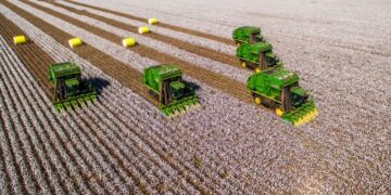 Falência do Grupo Pupin marca um dos maiores colapsos recentes do agro